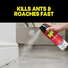 Raid Ant & Roach Insect Killer – 17.5 oz, 2 Count