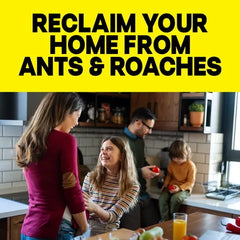 Raid Ant & Roach Insect Killer – 17.5 oz, 2 Count